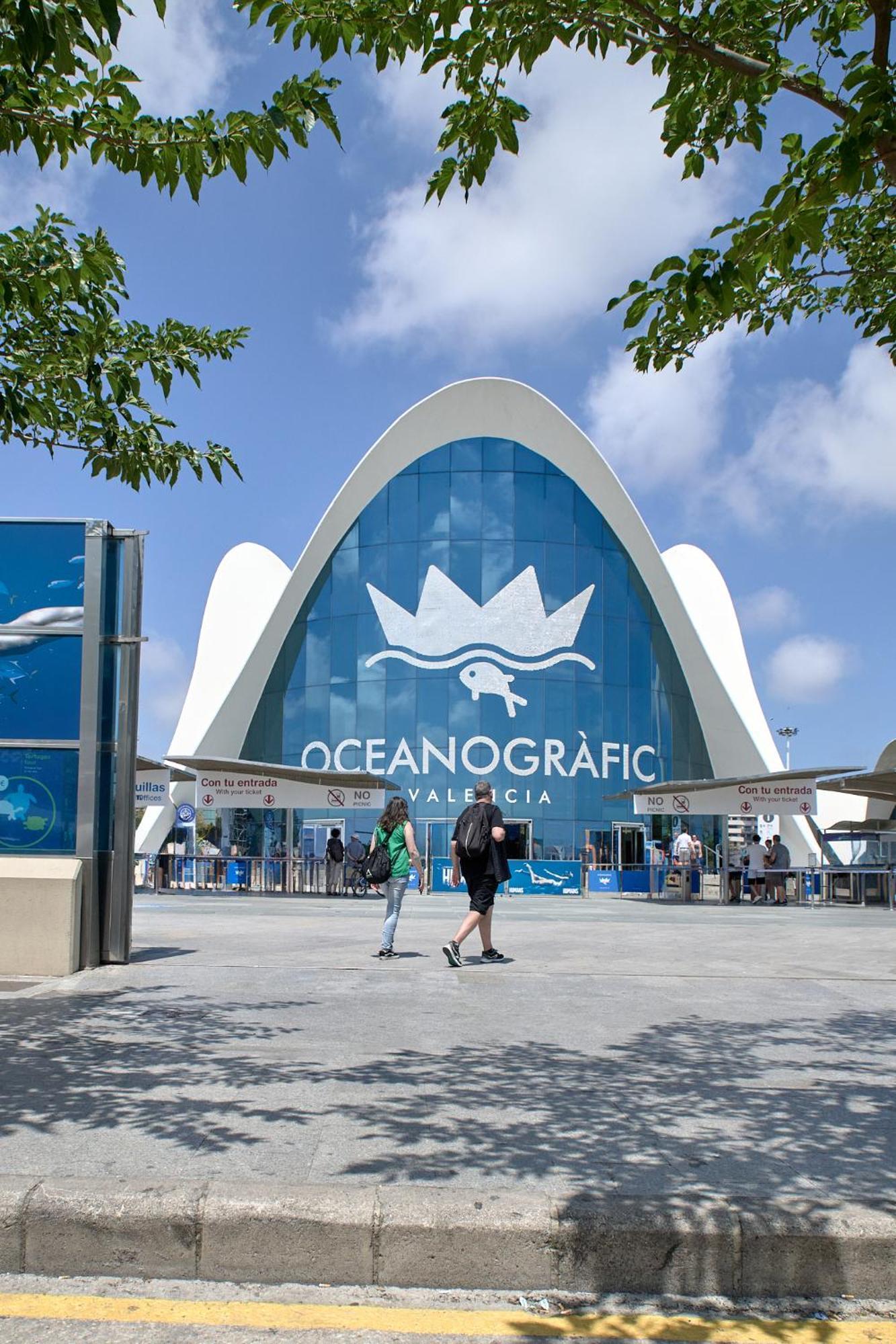 Romantic N3 Oceanografico By Virkin Apartment