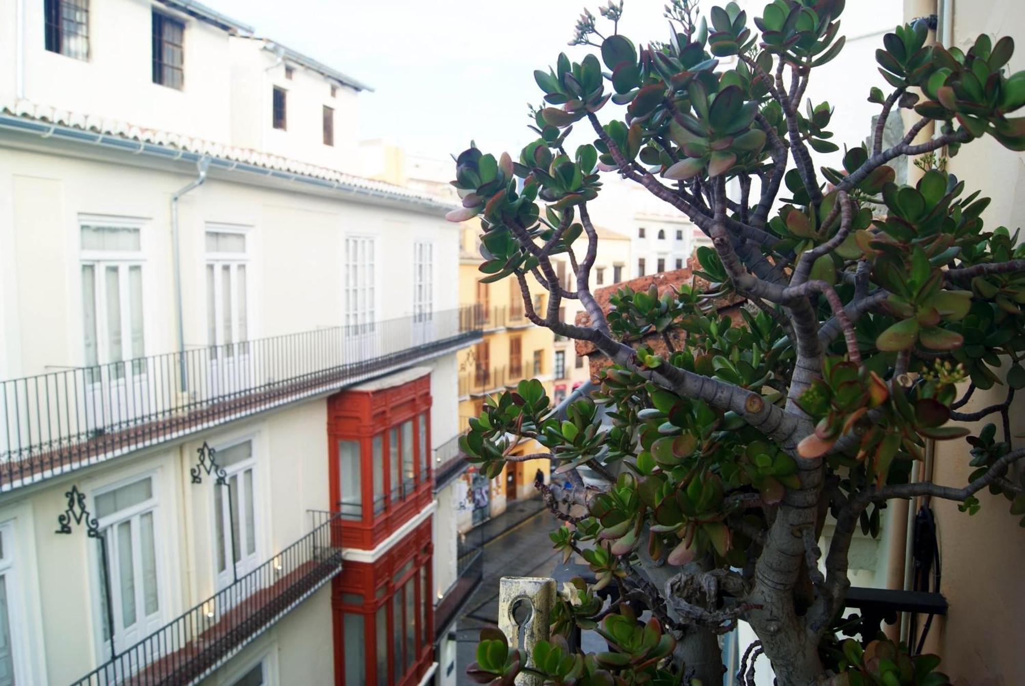 Apartamento Bolseria Centricos En El Carmen