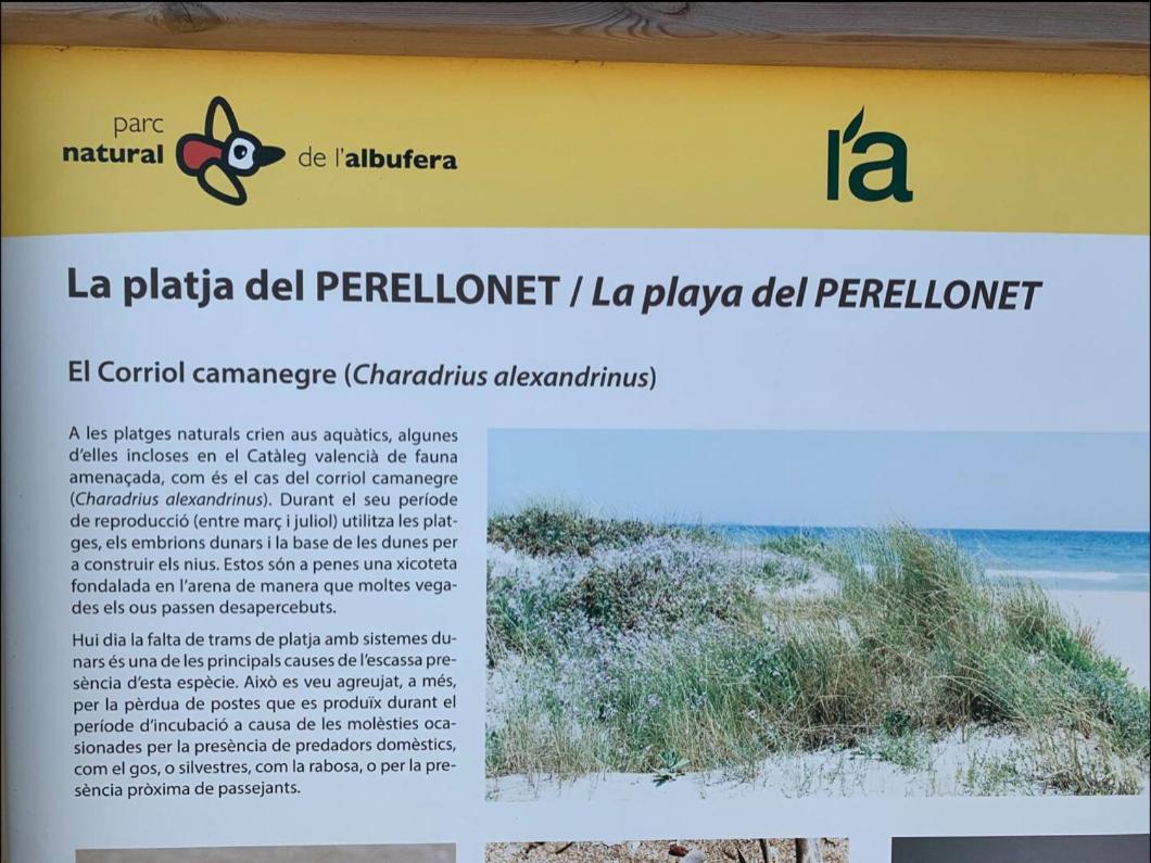 Retreat * Valencia