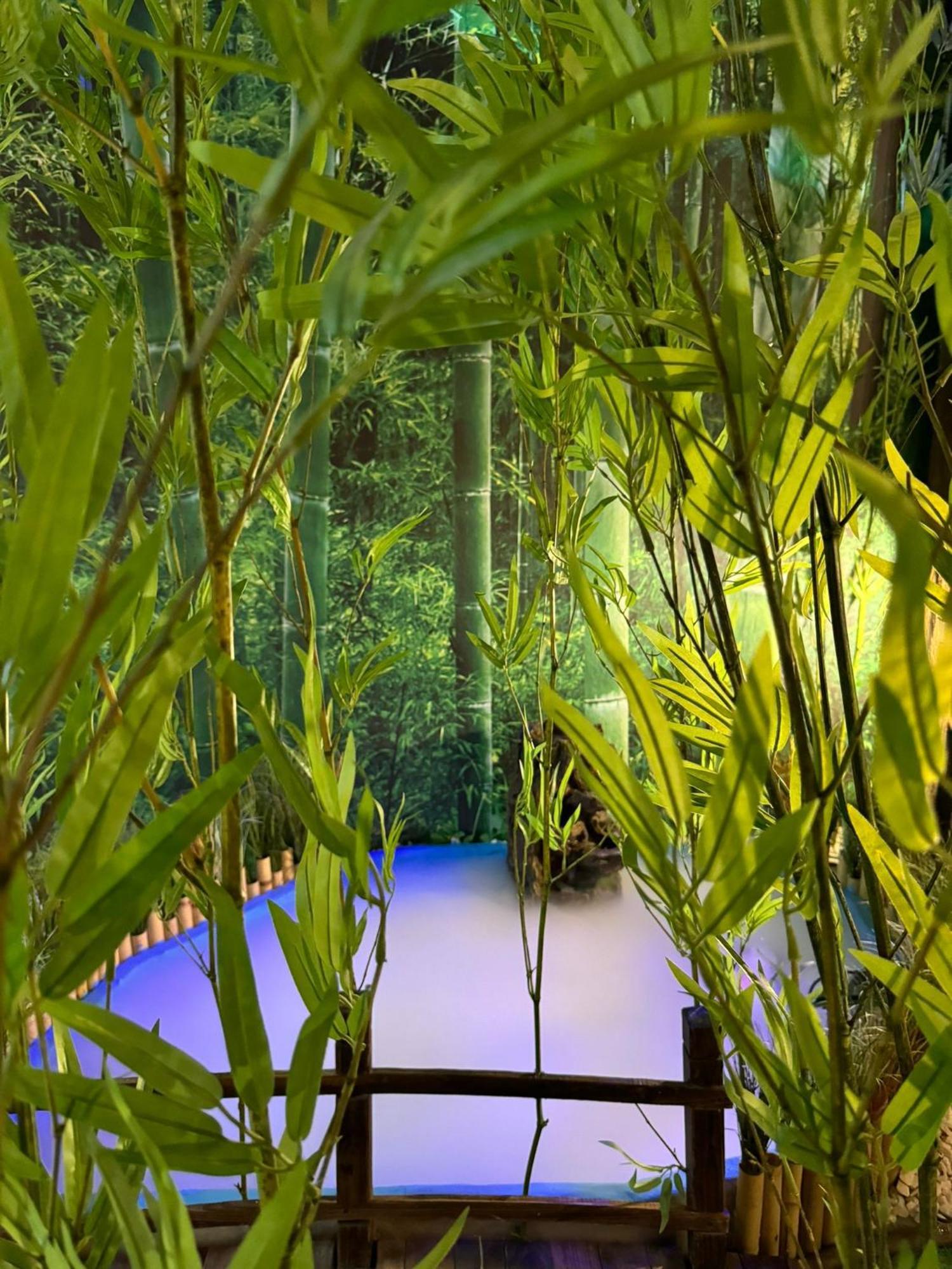 The Pod Village Hostel *