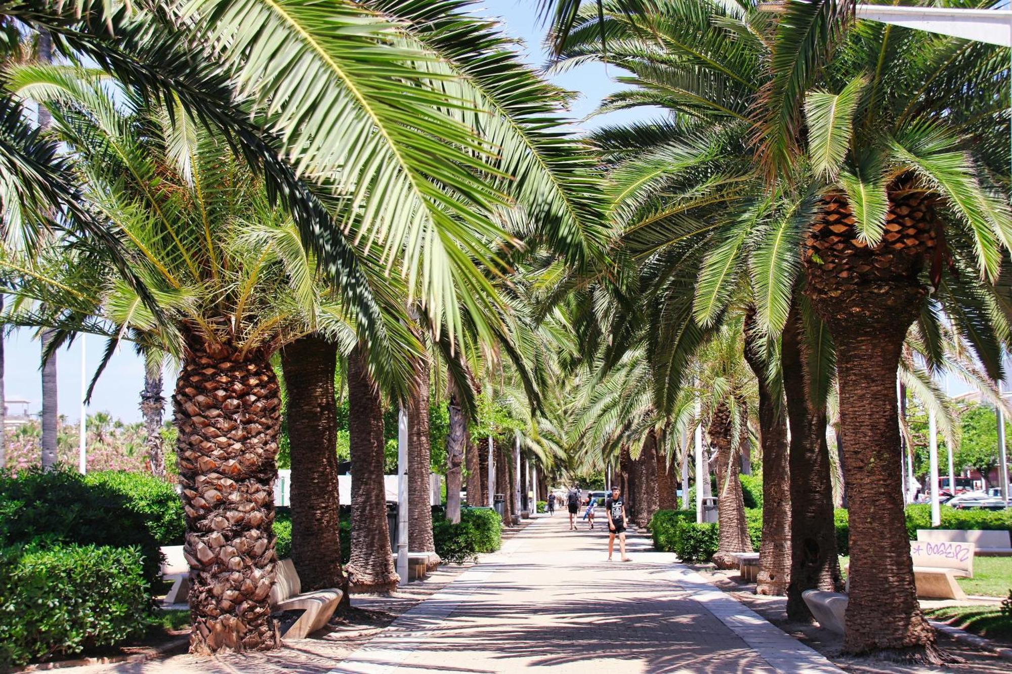 Neobeds - NEW ! Amazing charming Cosy 1BR Apt Valencia Apartamento