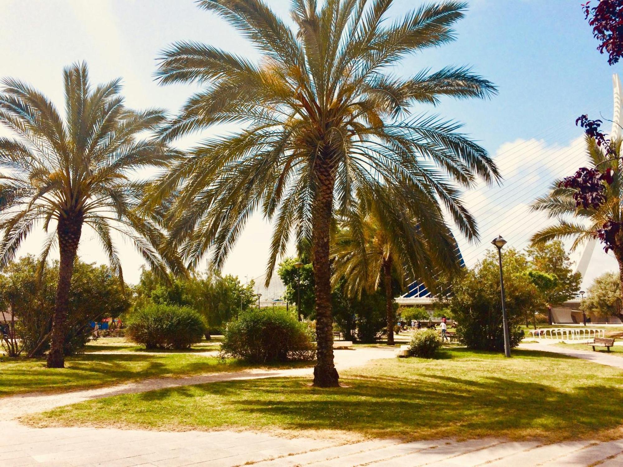Neobeds - NEW ! Amazing charming Cosy 1BR Apt Valencia Valencia