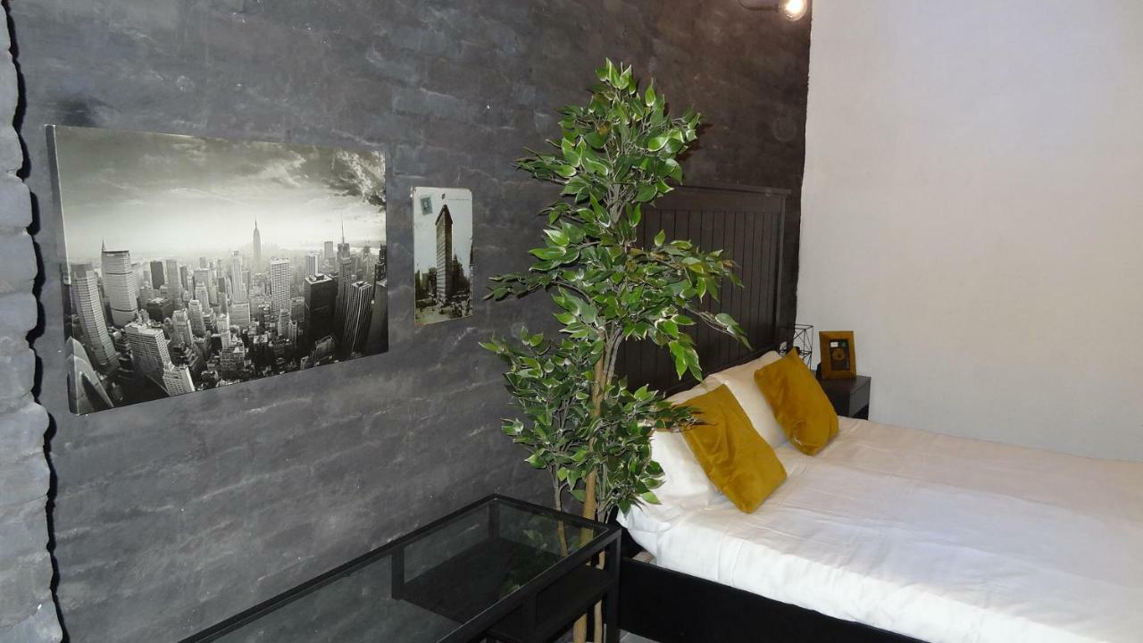 Florista Bonito Alojamiento Bien Comunicado Guest house *