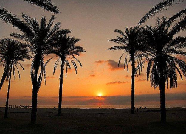 Apartamento Patacona Mare Nostrum Ii *