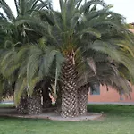 Holiday Apartments Malvarrosa Beach