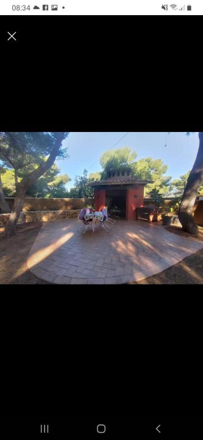 Villa Pura Vida Cabaña