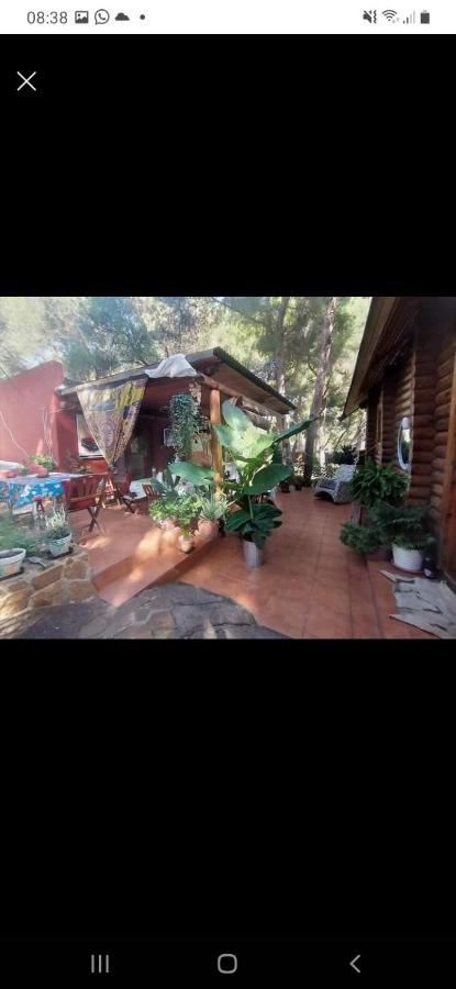 Pura Vida Cabaña *