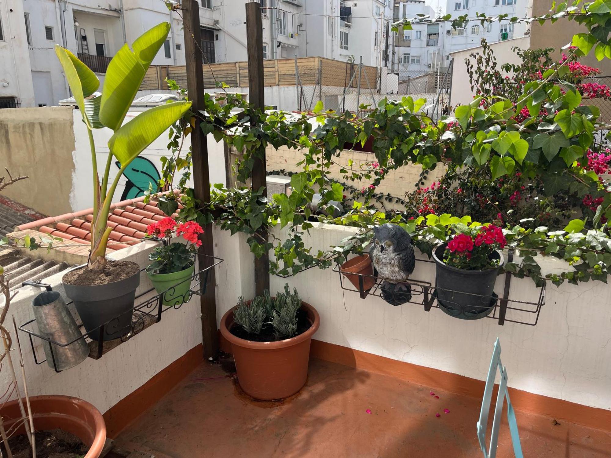 Apartamento Ruzafa Centro Ii Valencia