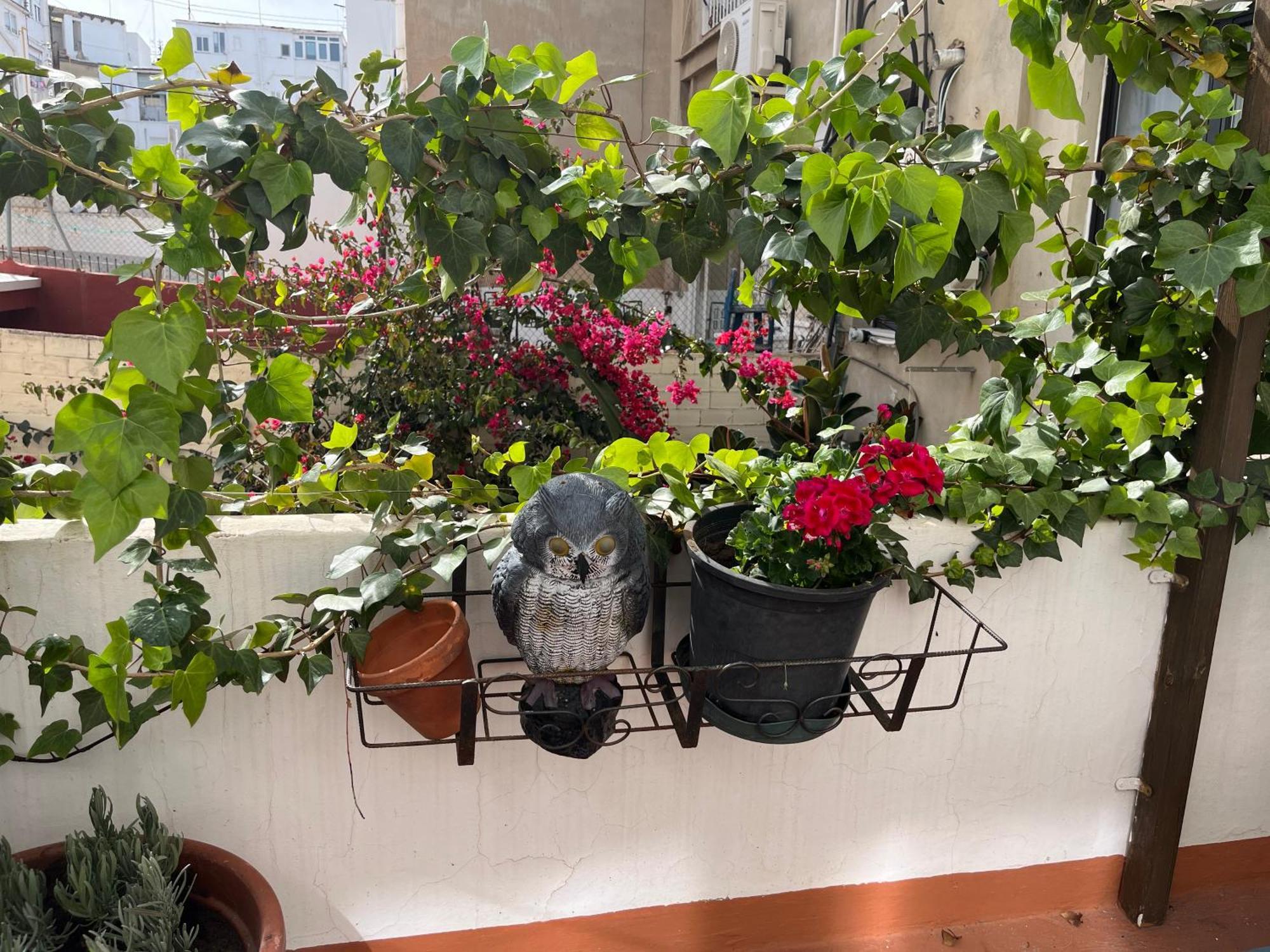 Apartamento Ruzafa Centro Ii