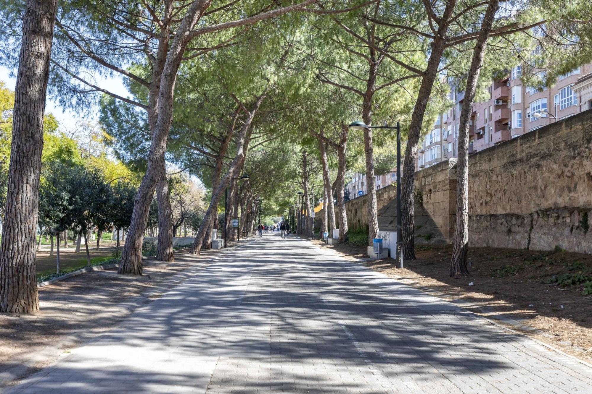 Apartup Turia River Park Valencia