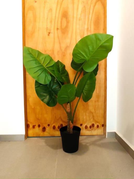 Acogedor Loft En Valencia_ Calamochaa Valencia