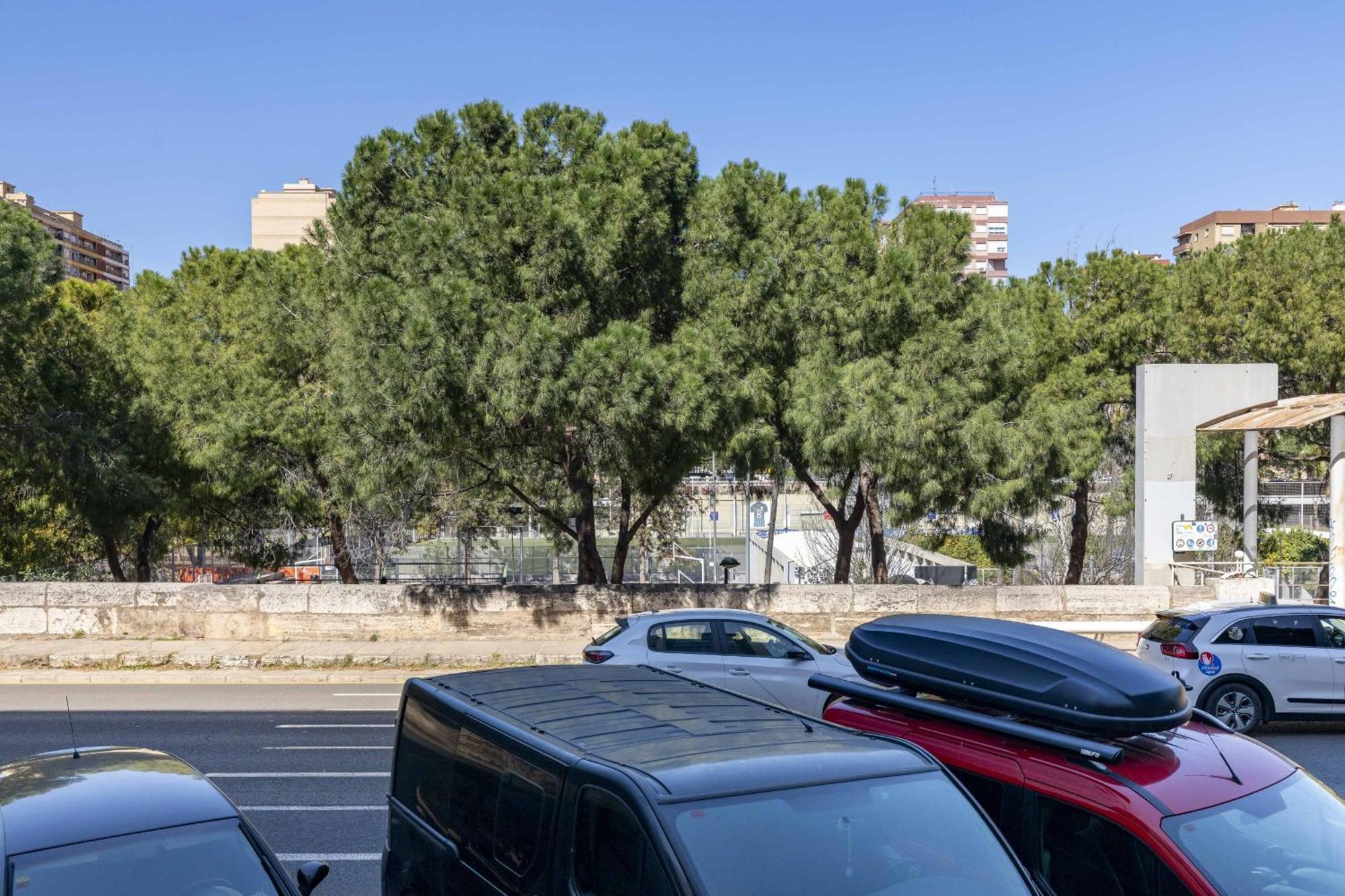 Apartamento Apartup Turia River Park Valencia
