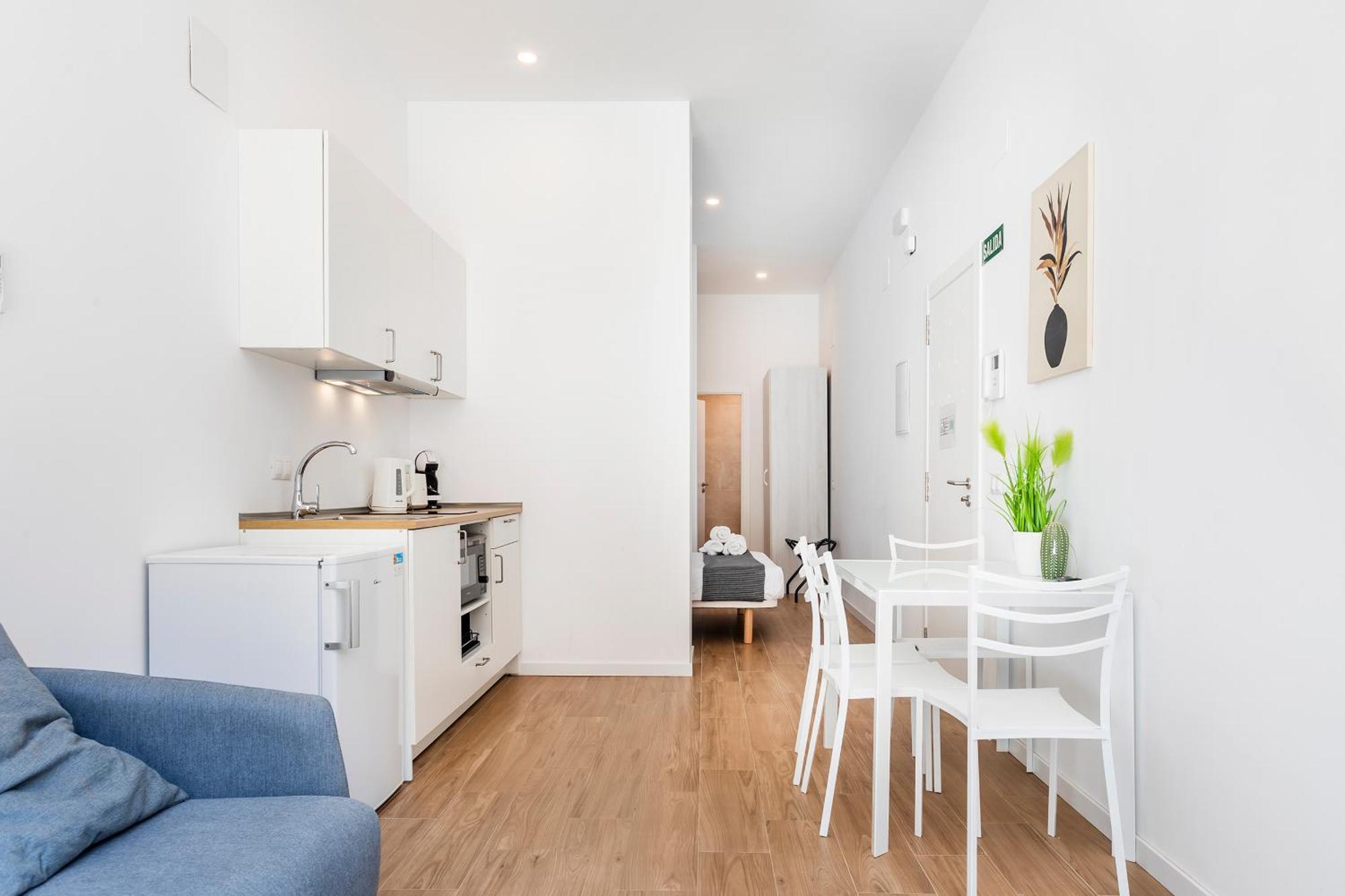 Apartamento Sorolla Station