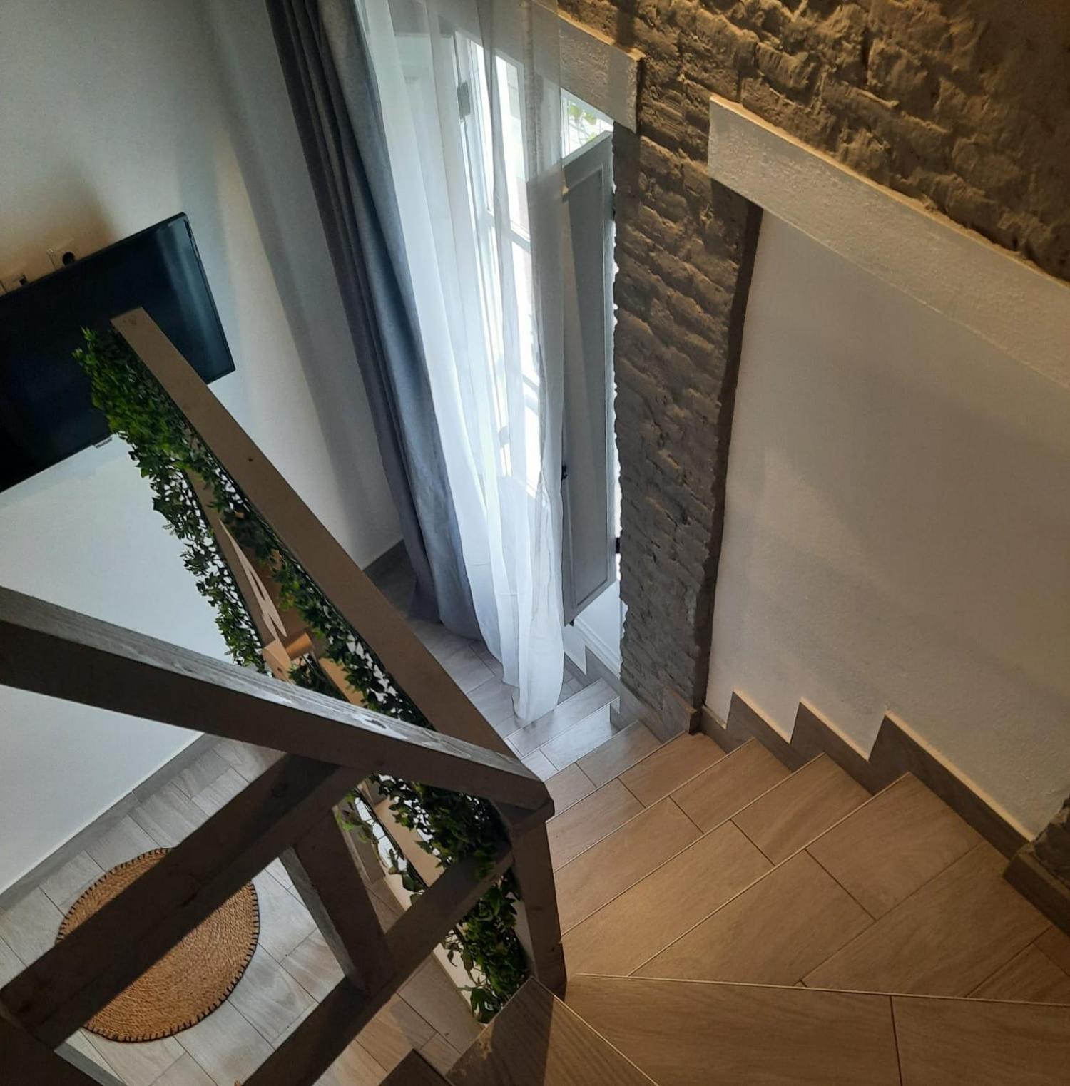 Guest house Bonito F
