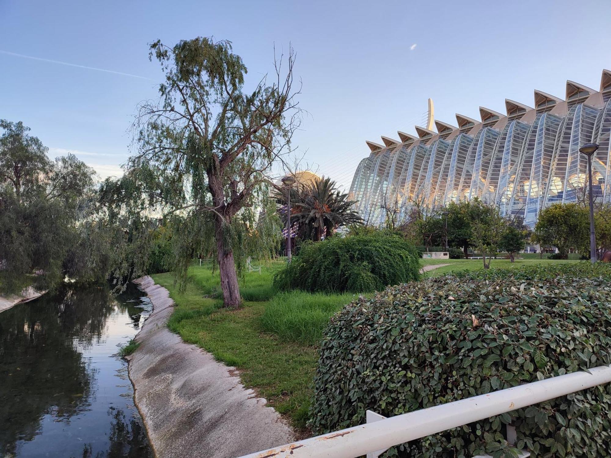 Arts & Sciences - Urban Centric At Bruno Coliving Valencia