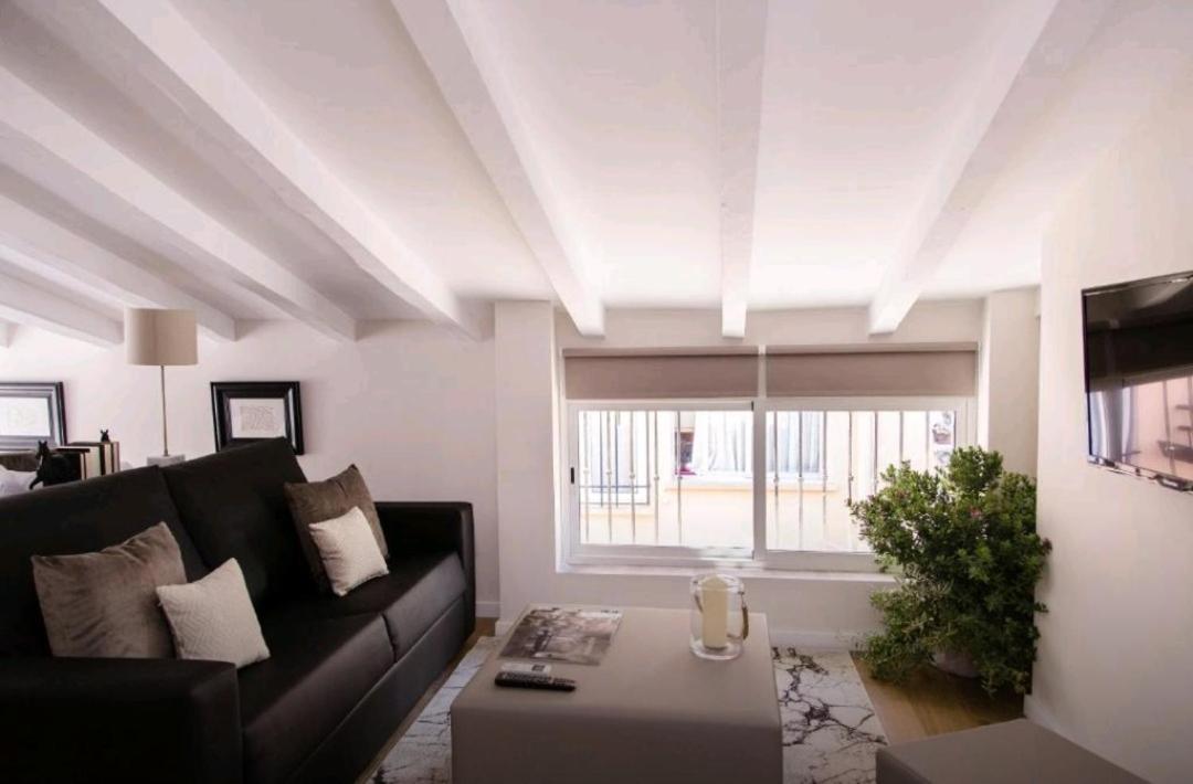 Loft Con Terraza * Valencia