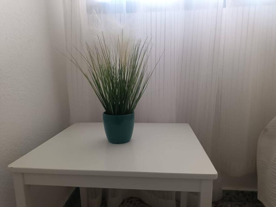 Apartamento Agradable Piso En El Cabanal Cerca De La Playa