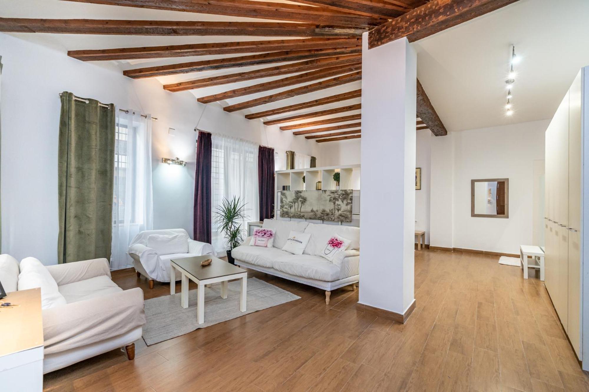 Apartment Duplex Mercado Central Valencia