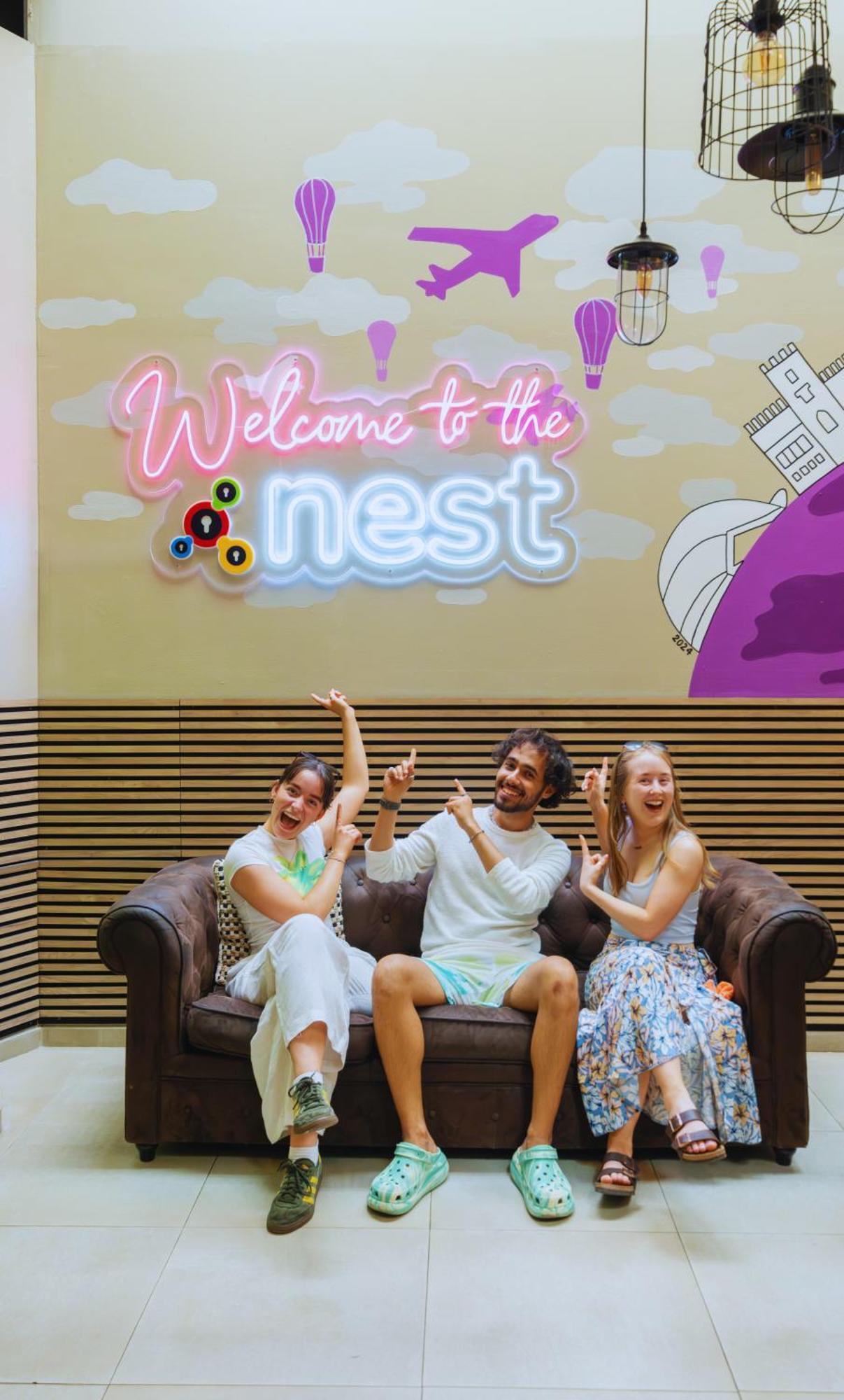 Purple Nest *