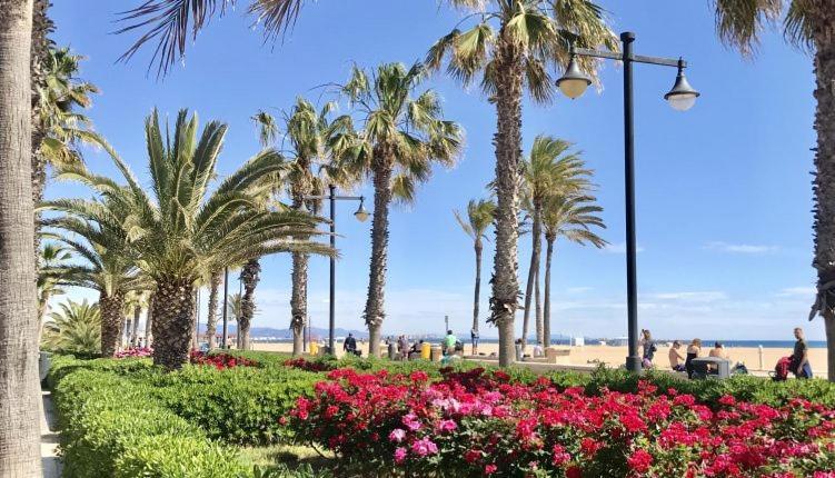 Apartamento Delux Valencia