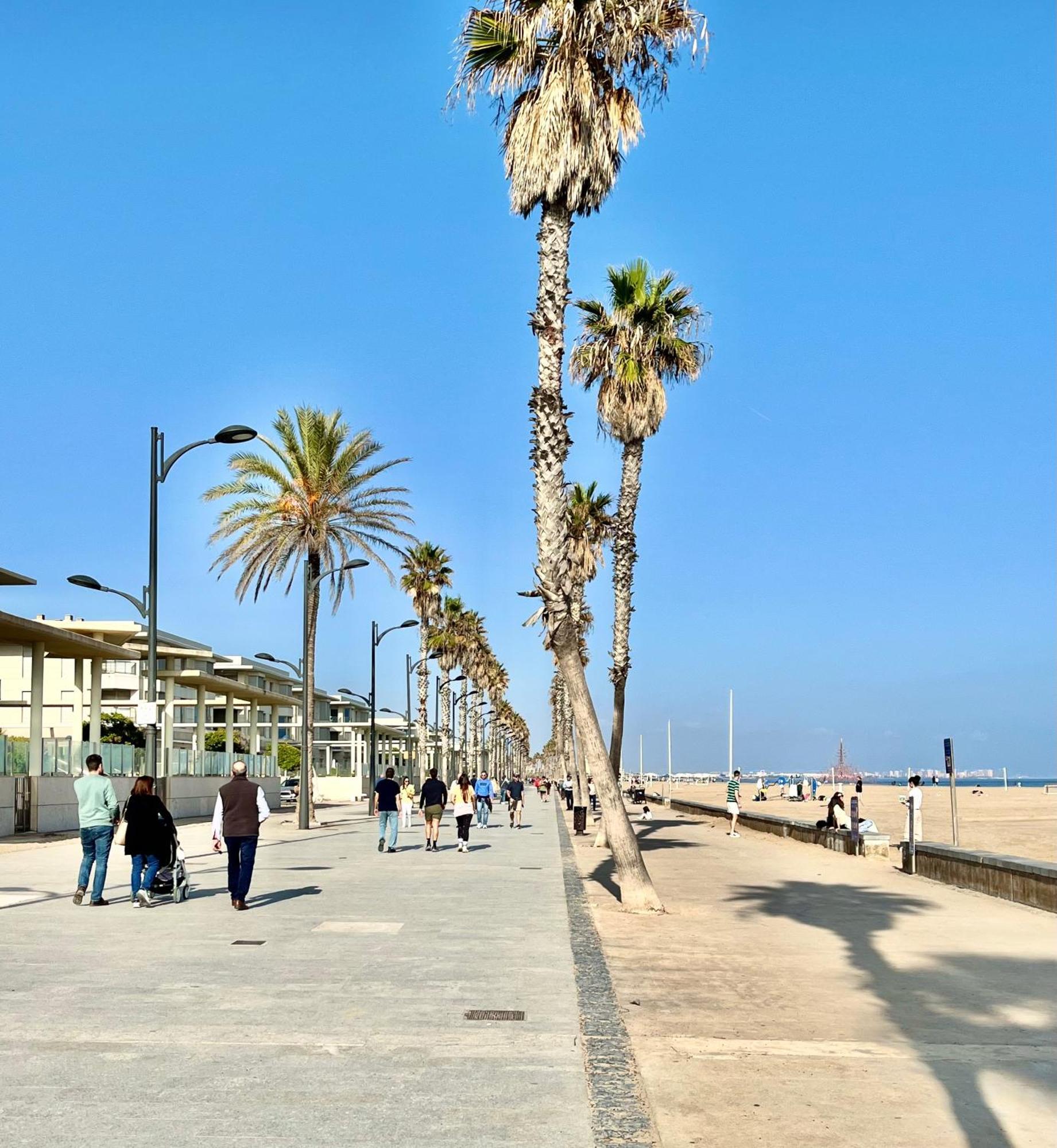 Beachfront 22