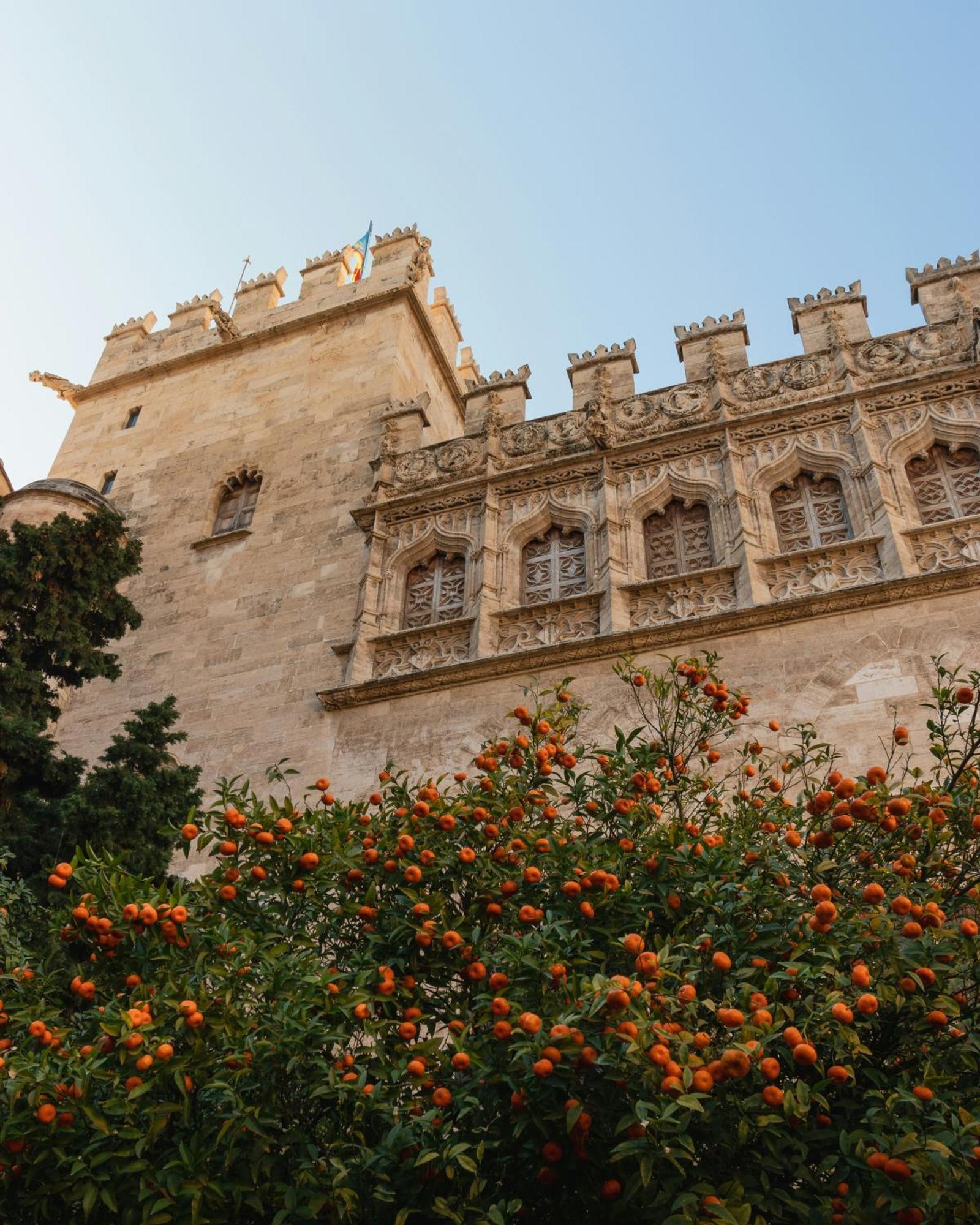 Neobeds - NEW ! Amazing charming Cosy 1BR Apt Valencia * Valencia