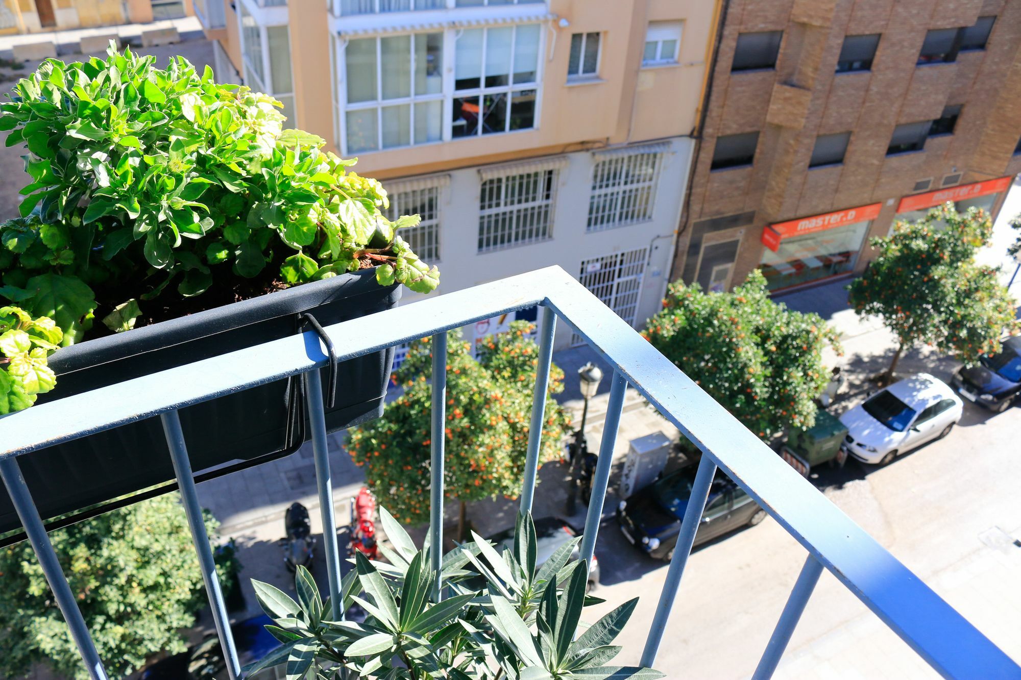 Ecobet Apartamento