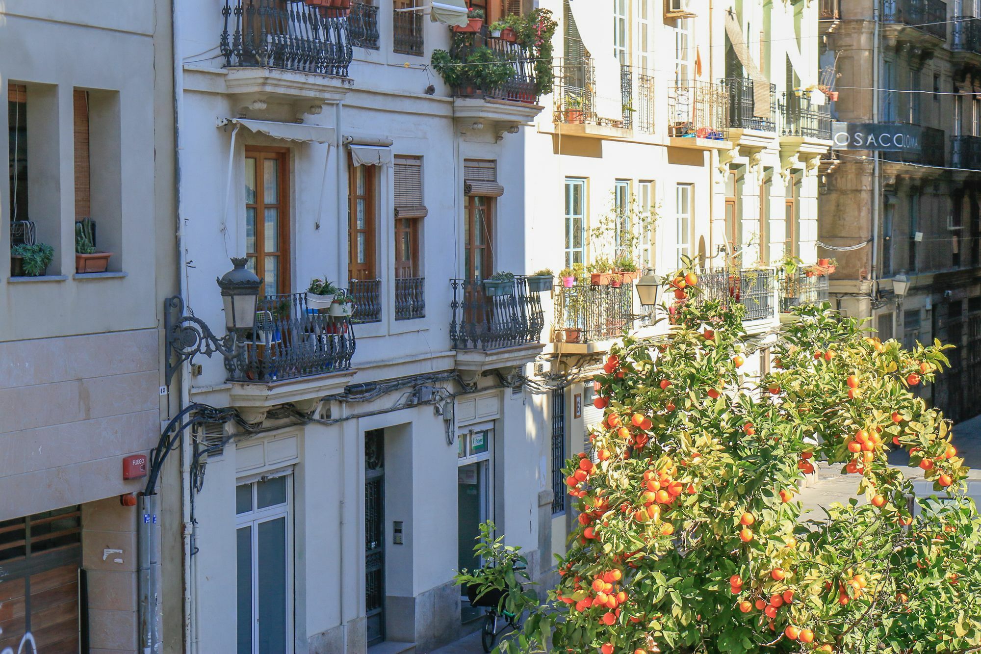 Apartamento Ecobet