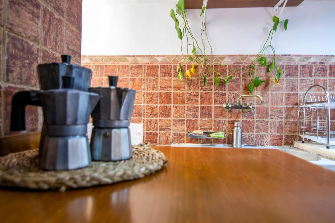 Kasa Katia Eco